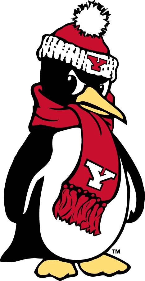 Youngstown State Penguins 2018-Pres Secondary Logo v4 diy DTF decal sticker